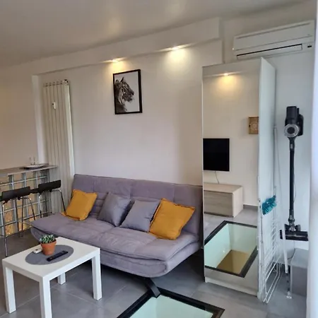 Souplex Avec Place De Parking Apartman Antibes