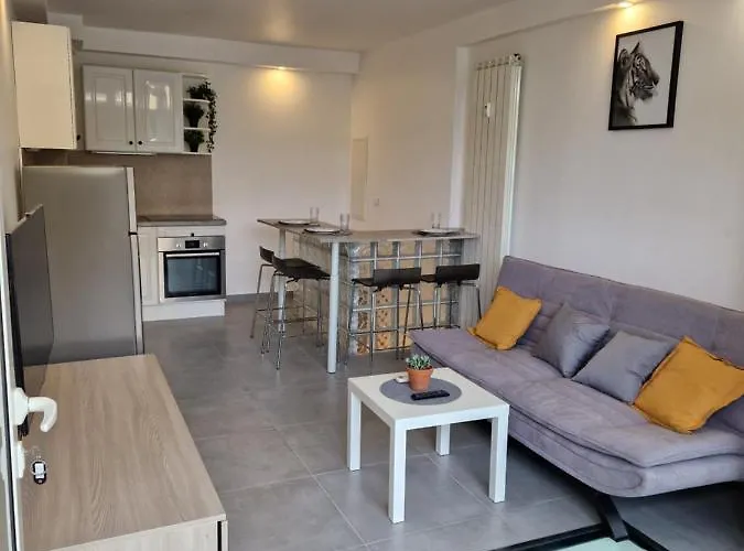 Apartment Souplex Avec Place De Parking